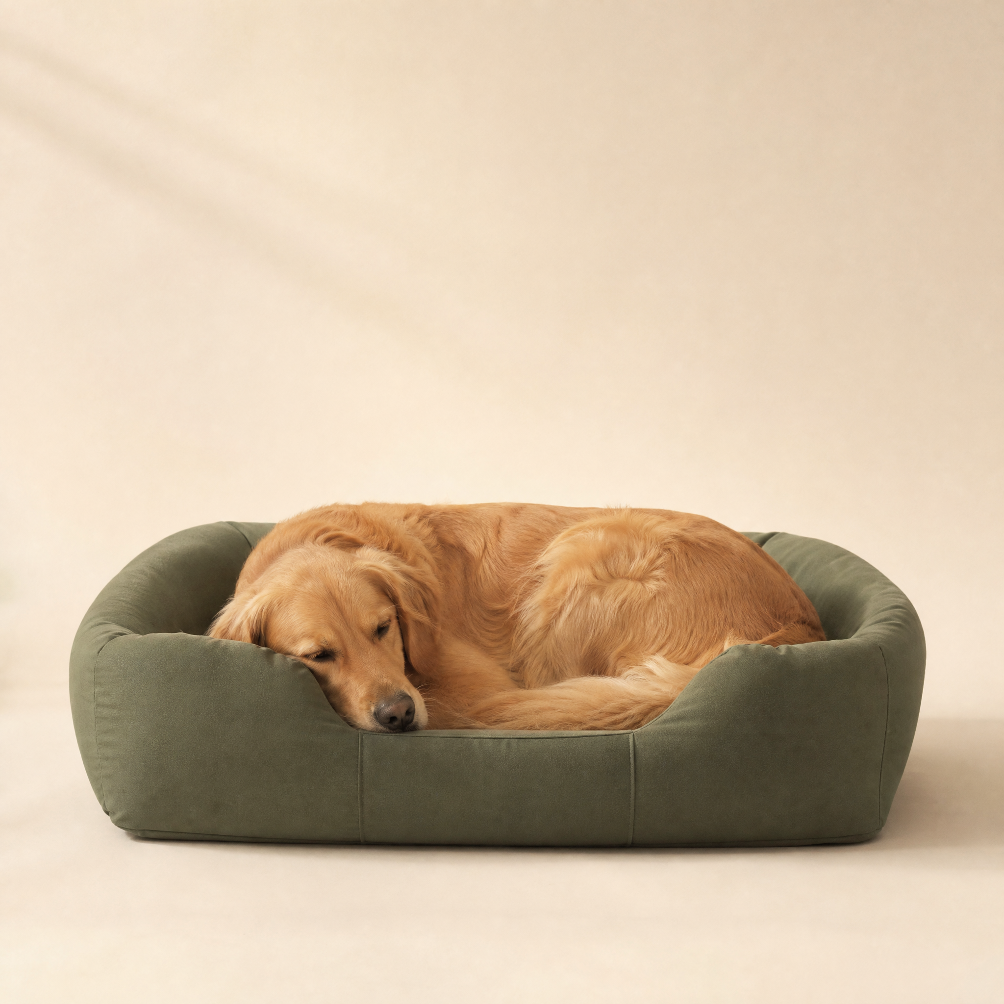Dog Comfort