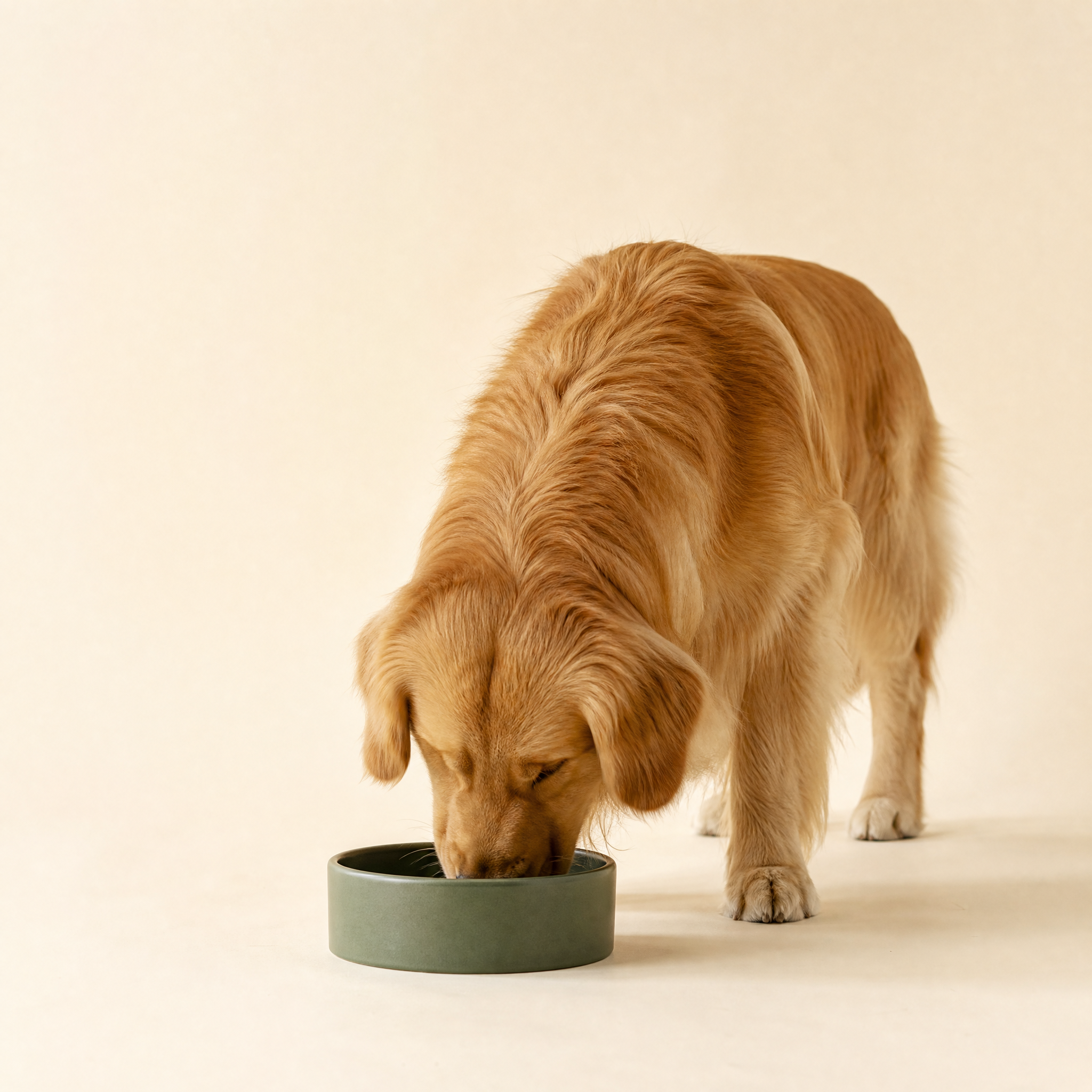 Food & Water Supplies