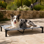 DogBedHouse Elevated Cooling Portable Nylon Dog Cot