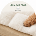 DogBedHouse Ergonomic Spinal Support & Removable Pillow Dog Bed