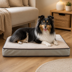 DogBedHouse Orthopedic Memory Foam & Non-Slip Dog Bed (Removable Cover)