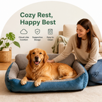 DogBedHouse High-Back Extra Thick Plush Pet Sofa Bed (Washable Cover)
