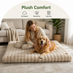 DogBedHouse Thick Polyurethane Foam & Removable Cover Dog Bed
