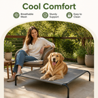 DogBedHouse Cooling Breathable Mesh Elevated Dog Bed