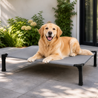 DogBedHouse Elevated Washable Breathable Mesh Dog Bed
