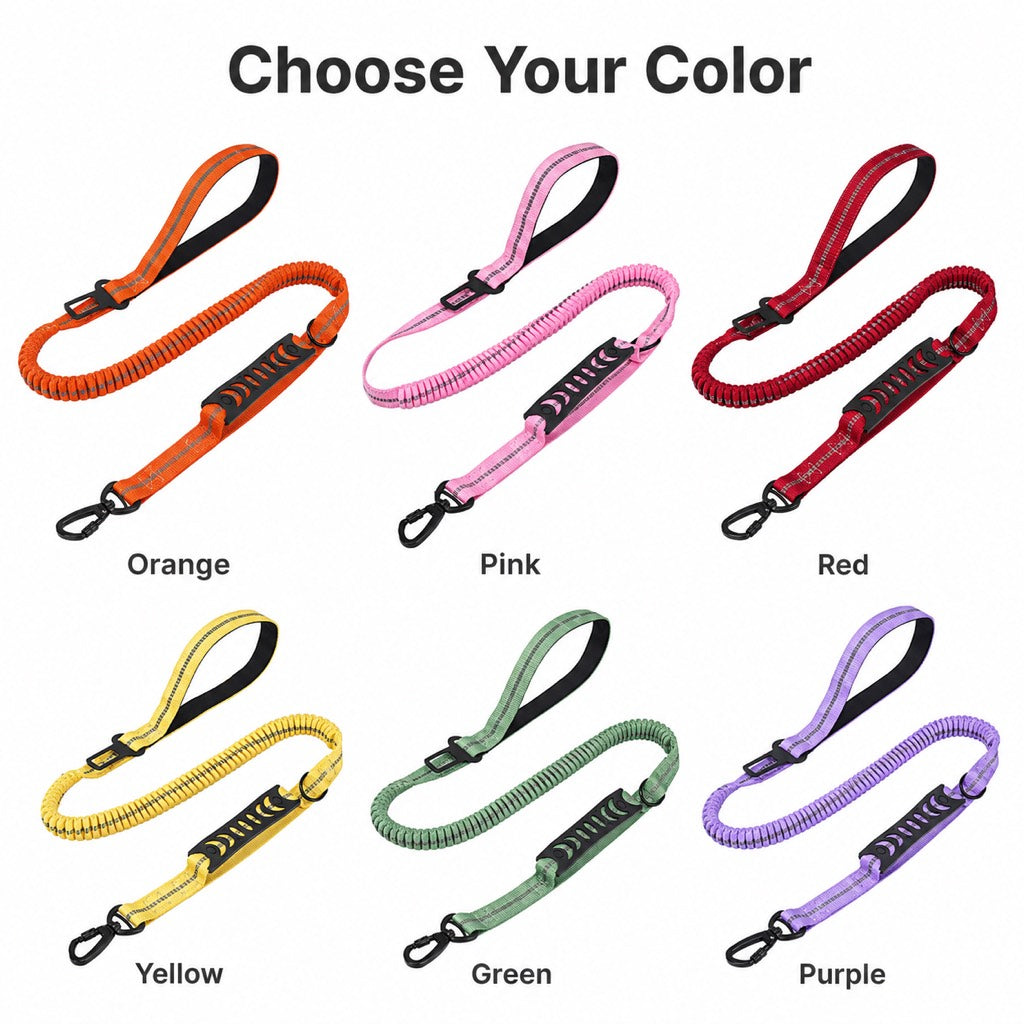 2-In-1 Reflective & Shock-Absorbing Dog Seat Belt Leash