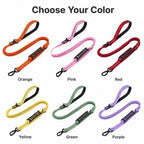 2-In-1 Reflective & Shock-Absorbing Dog Seat Belt Leash
