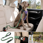 2-In-1 Reflective & Shock-Absorbing Dog Seat Belt Leash