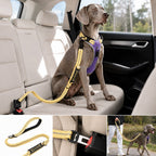 2-In-1 Reflective & Shock-Absorbing Dog Seat Belt Leash