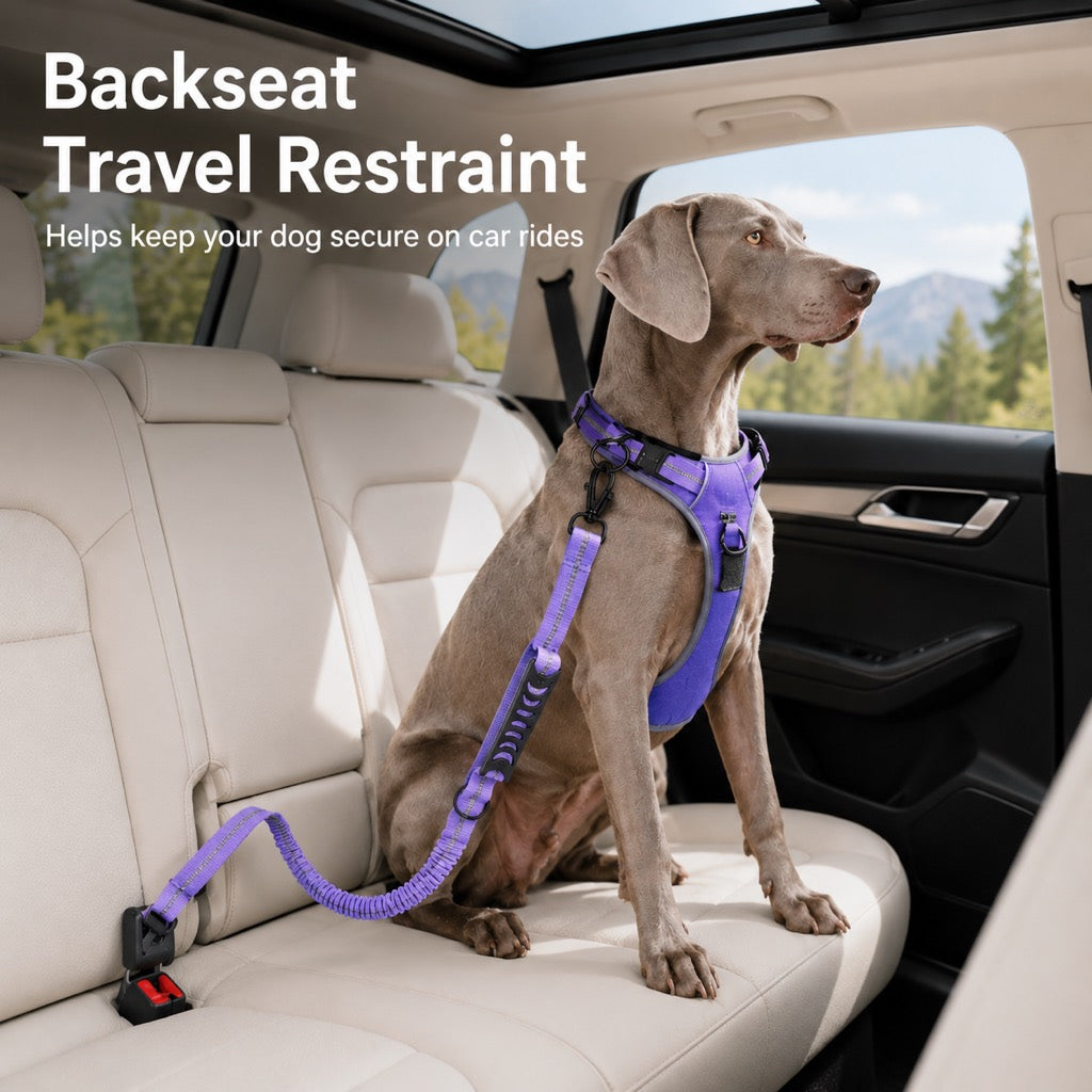 2-In-1 Reflective & Shock-Absorbing Dog Seat Belt Leash