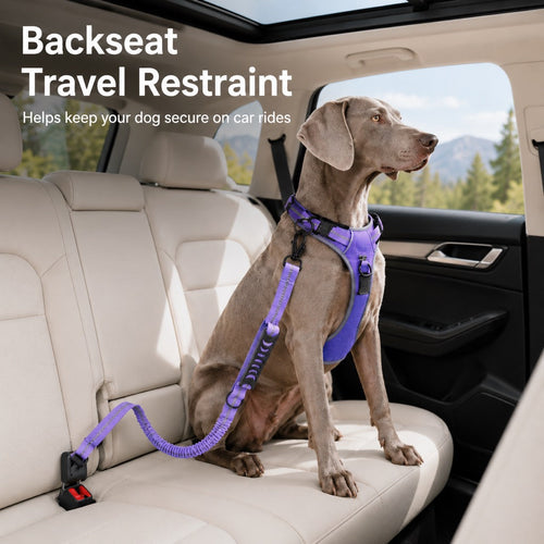 2-In-1 Reflective & Shock-Absorbing Dog Seat Belt Leash