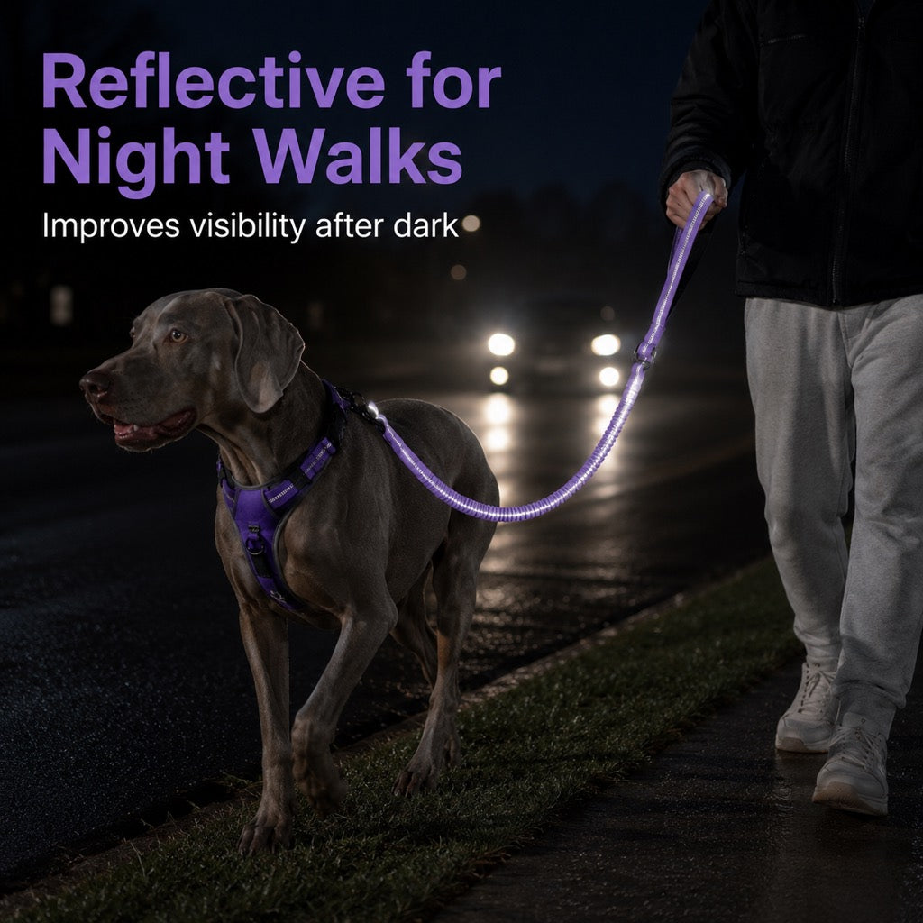2-In-1 Reflective & Shock-Absorbing Dog Seat Belt Leash
