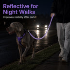 2-In-1 Reflective & Shock-Absorbing Dog Seat Belt Leash