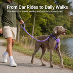 2-In-1 Reflective & Shock-Absorbing Dog Seat Belt Leash
