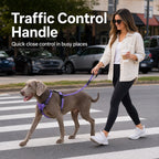 2-In-1 Reflective & Shock-Absorbing Dog Seat Belt Leash