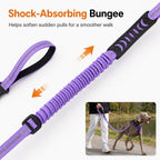 2-In-1 Reflective & Shock-Absorbing Dog Seat Belt Leash