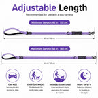 2-In-1 Reflective & Shock-Absorbing Dog Seat Belt Leash
