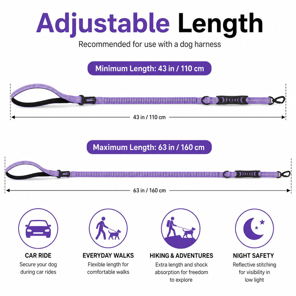 2-In-1 Reflective & Shock-Absorbing Dog Seat Belt Leash