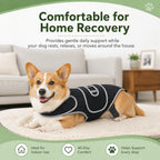 Adjustable Breathable Back Support Vest (Long-Backed Breeds)
