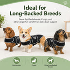Adjustable Breathable Back Support Vest (Long-Backed Breeds)