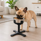 Adjustable Height & Tilt Elevated Dog Bowl (Slow-Feed Insert)