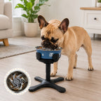 Adjustable Height & Tilt Elevated Dog Bowl (Slow-Feed Insert)