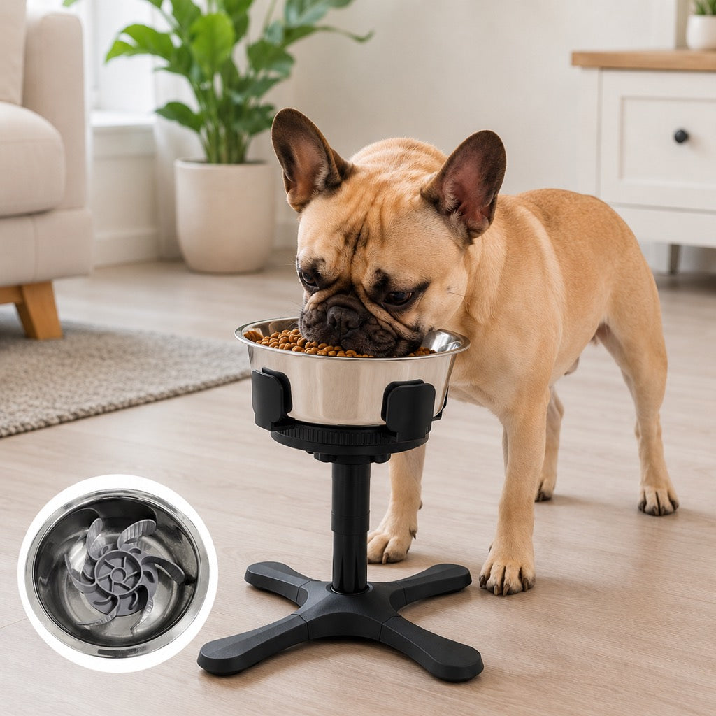 Adjustable Height & Tilt Elevated Dog Bowl (Slow-Feed Insert)