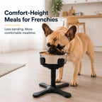 Adjustable Height & Tilt Elevated Dog Bowl (Slow-Feed Insert)