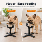 Adjustable Height & Tilt Elevated Dog Bowl (Slow-Feed Insert)