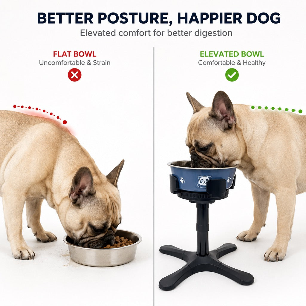 Adjustable Height & Tilt Elevated Dog Bowl (Slow-Feed Insert)
