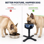 Adjustable Height & Tilt Elevated Dog Bowl (Slow-Feed Insert)