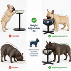 Adjustable Height & Tilt Elevated Dog Bowl (Slow-Feed Insert)