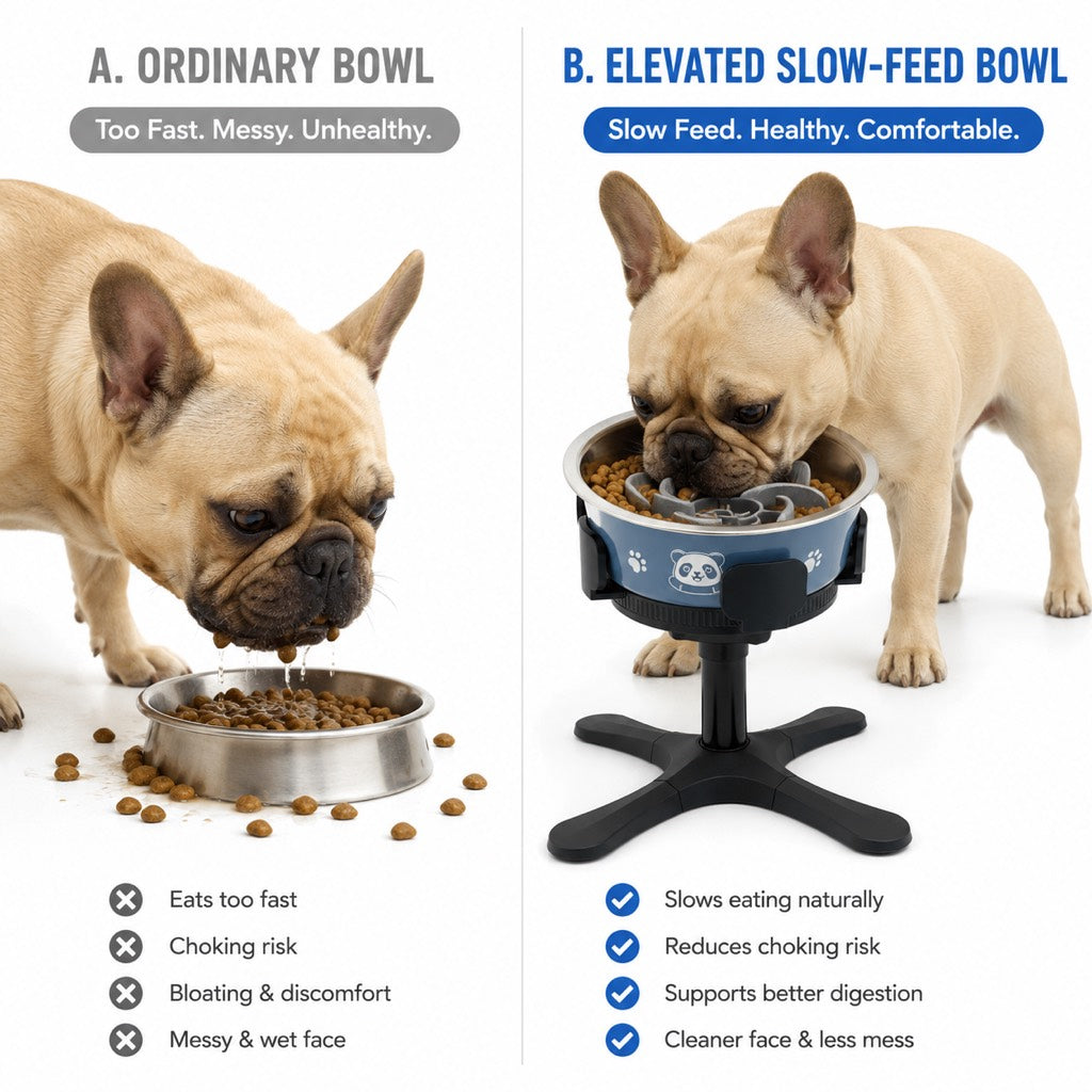 Adjustable Height & Tilt Elevated Dog Bowl (Slow-Feed Insert)