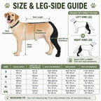 Adjustable Hip-to-Paw Dog Rear Leg Recovery Sleeve (Enclosed Paw Cover)