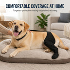 Adjustable Hip-to-Paw Dog Rear Leg Recovery Sleeve (Enclosed Paw Cover)