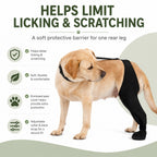 Adjustable Hip-to-Paw Dog Rear Leg Recovery Sleeve (Enclosed Paw Cover)
