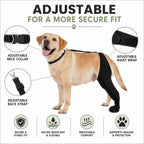 Adjustable Hip-to-Paw Dog Rear Leg Recovery Sleeve (Enclosed Paw Cover)