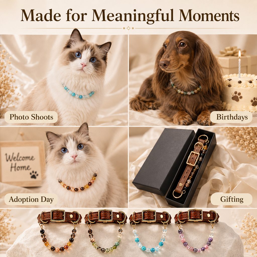 Astrology-Inspired Crystal-Beaded Adjustable Pet Collar