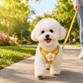 Breathable 3D Mesh Adjustable Harness & Leash Set (Small Pets)