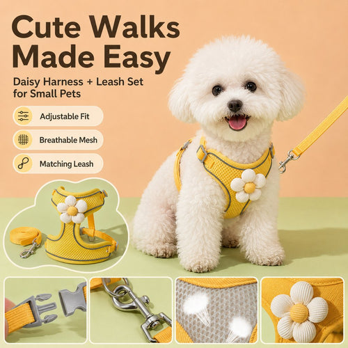 Breathable 3D Mesh Adjustable Harness & Leash Set (Small Pets)