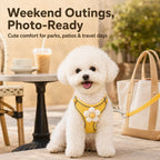 Breathable 3D Mesh Adjustable Harness & Leash Set (Small Pets)
