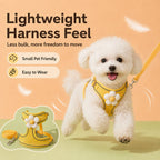 Breathable 3D Mesh Adjustable Harness & Leash Set (Small Pets)
