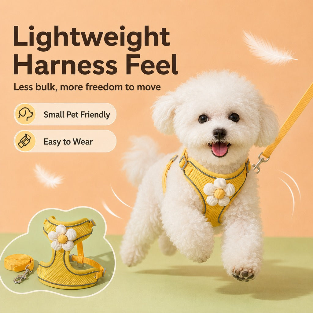 Breathable 3D Mesh Adjustable Harness & Leash Set (Small Pets)