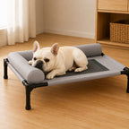 Breathable Mesh & Wipe-Clean Elevated Dog Cot