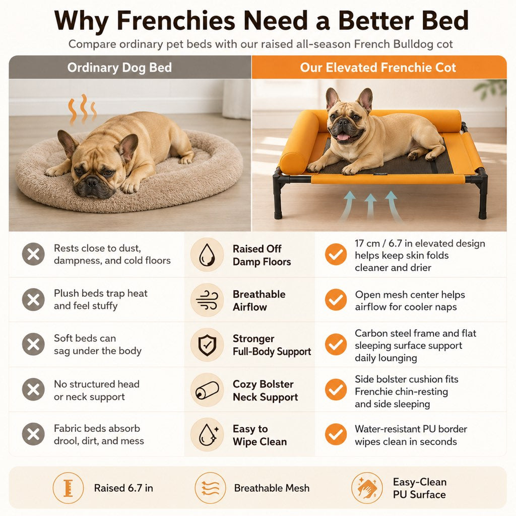 Breathable Mesh & Wipe-Clean Elevated Dog Cot