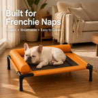 Breathable Mesh & Wipe-Clean Elevated Dog Cot