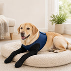 Cone-Free Breathable Dual Front-Leg Recovery Sleeves (Pair)