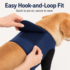 Cone-Free Breathable Dual Front-Leg Recovery Sleeves (Pair)