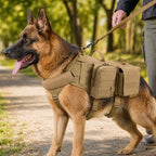 Detachable MOLLE Pouches & Breathable Mesh Dog Backpack Harness