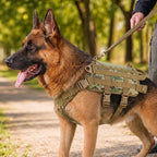 Detachable MOLLE Pouches & Breathable Mesh Dog Backpack Harness